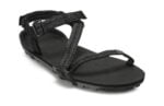 Multi-Black